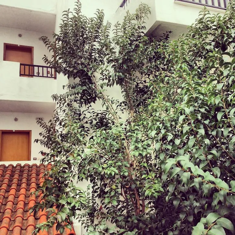 ** Aparthotel Kontessa Studios & Apartments Psakoudia Greece